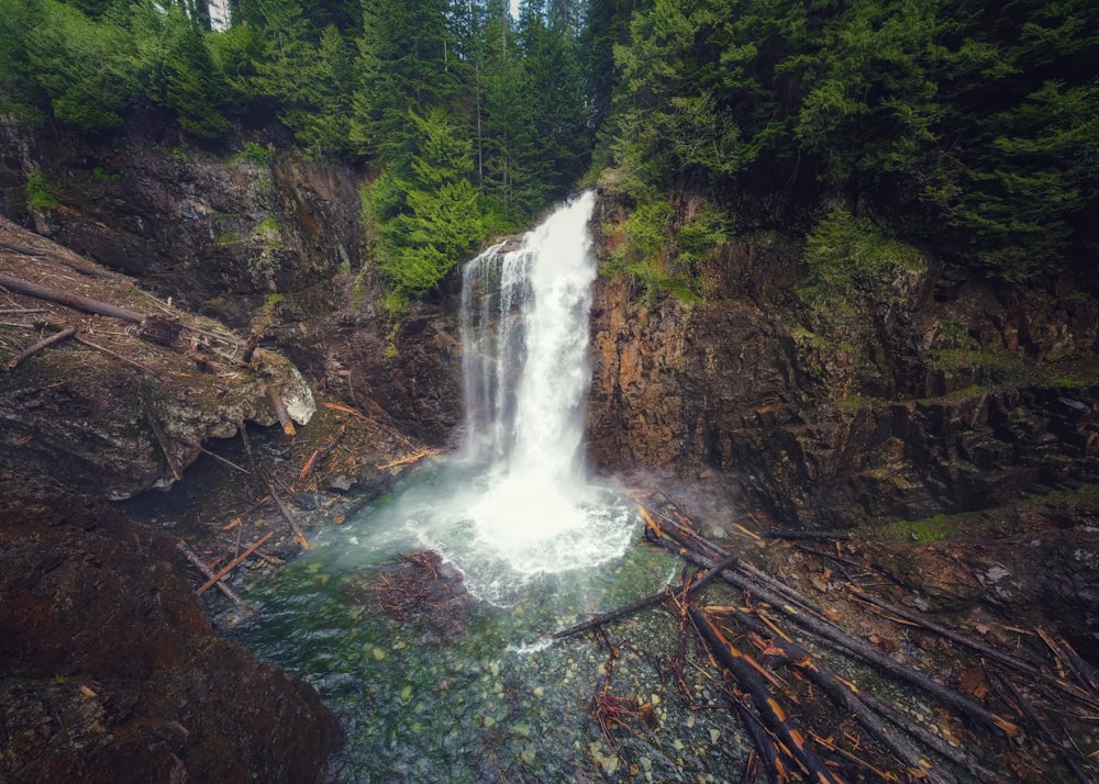 a waterfall in the middle of a forest