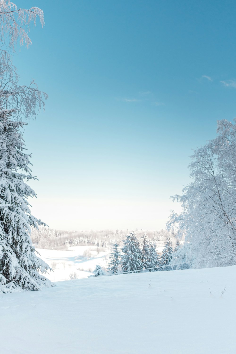 a person riding skis on a snowy surface