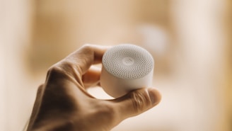 a person holding a white object in their hand