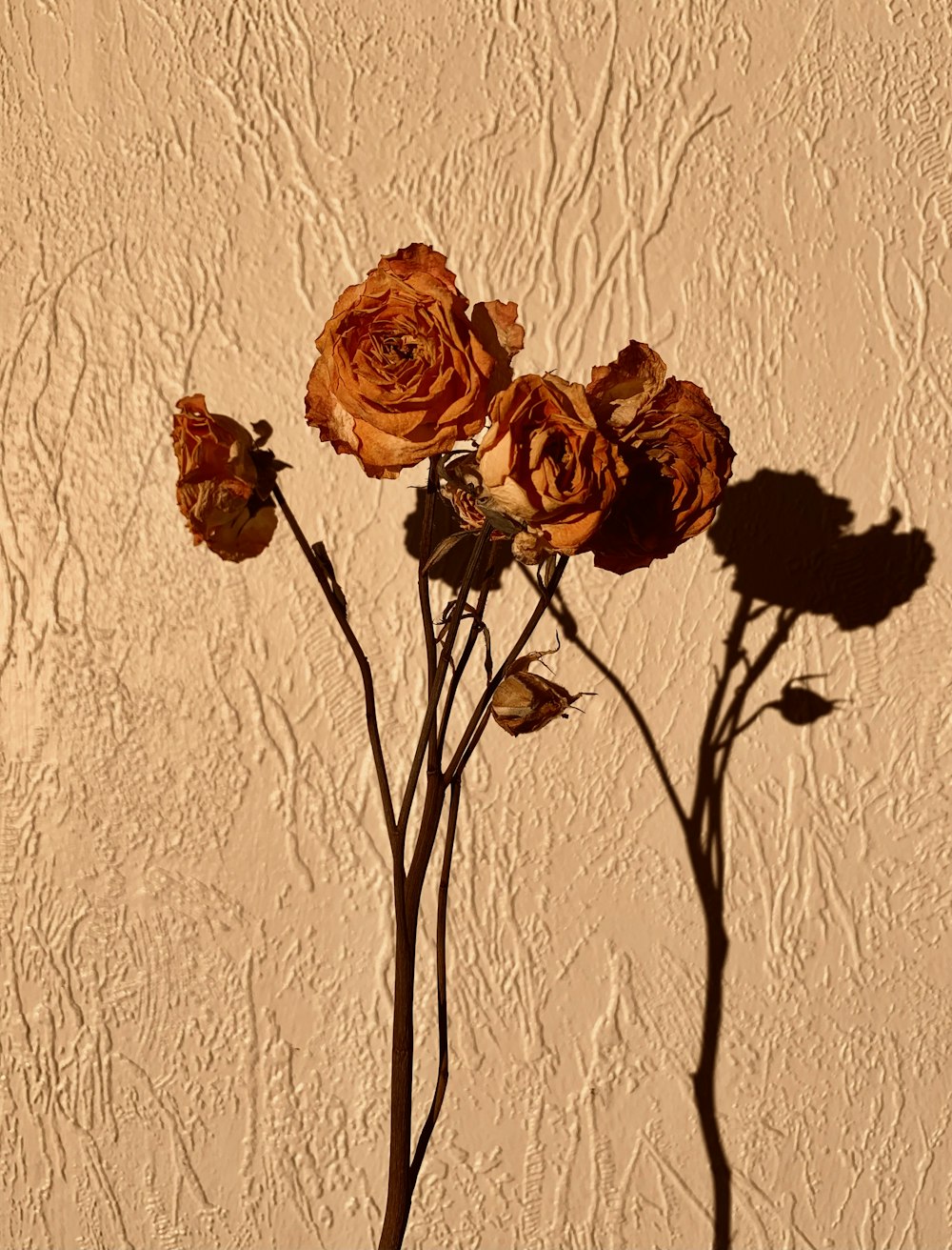 a close up of a vase with flowers on a table