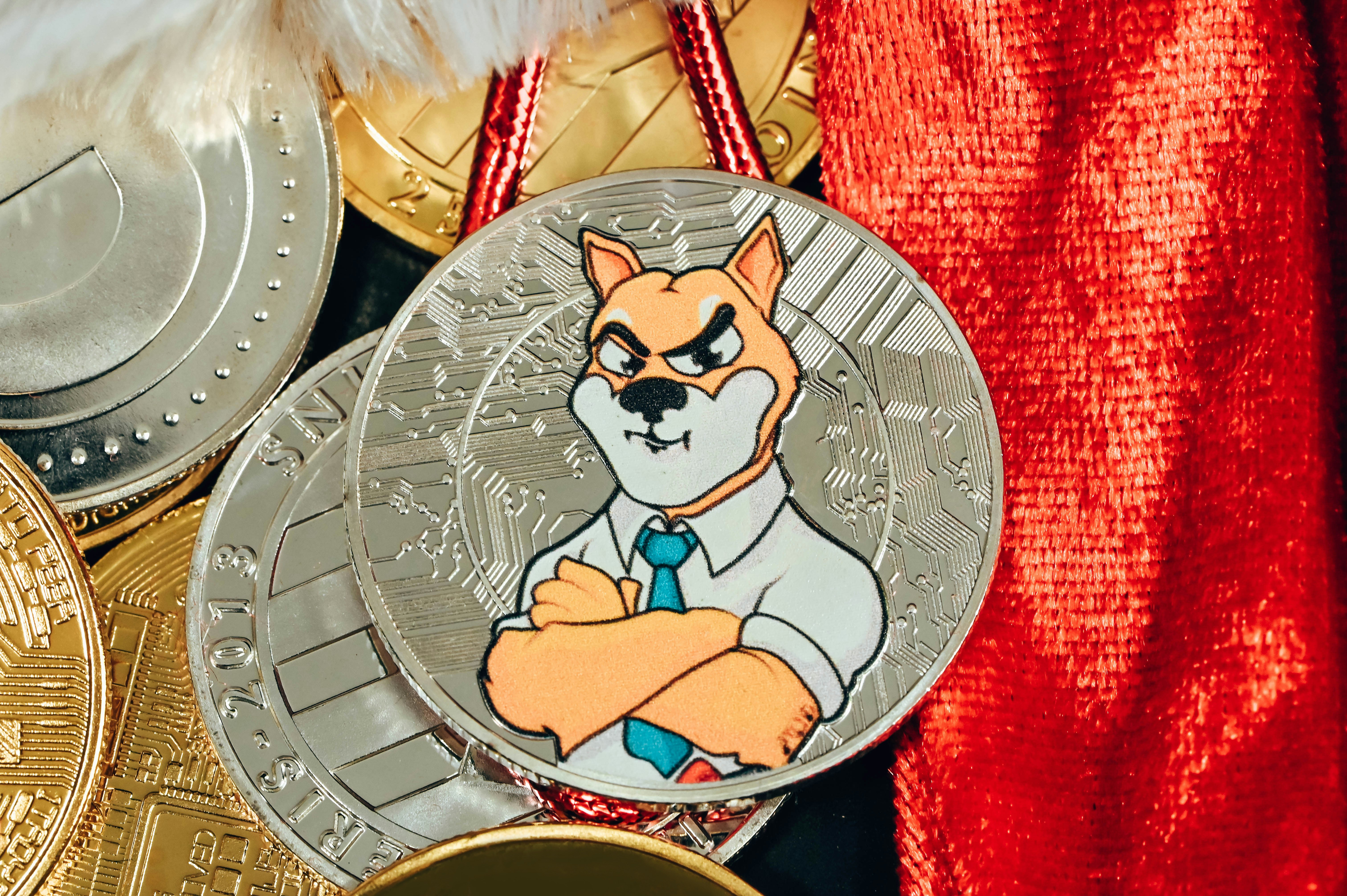 A SHIBA coin among other cryptocurrency coins