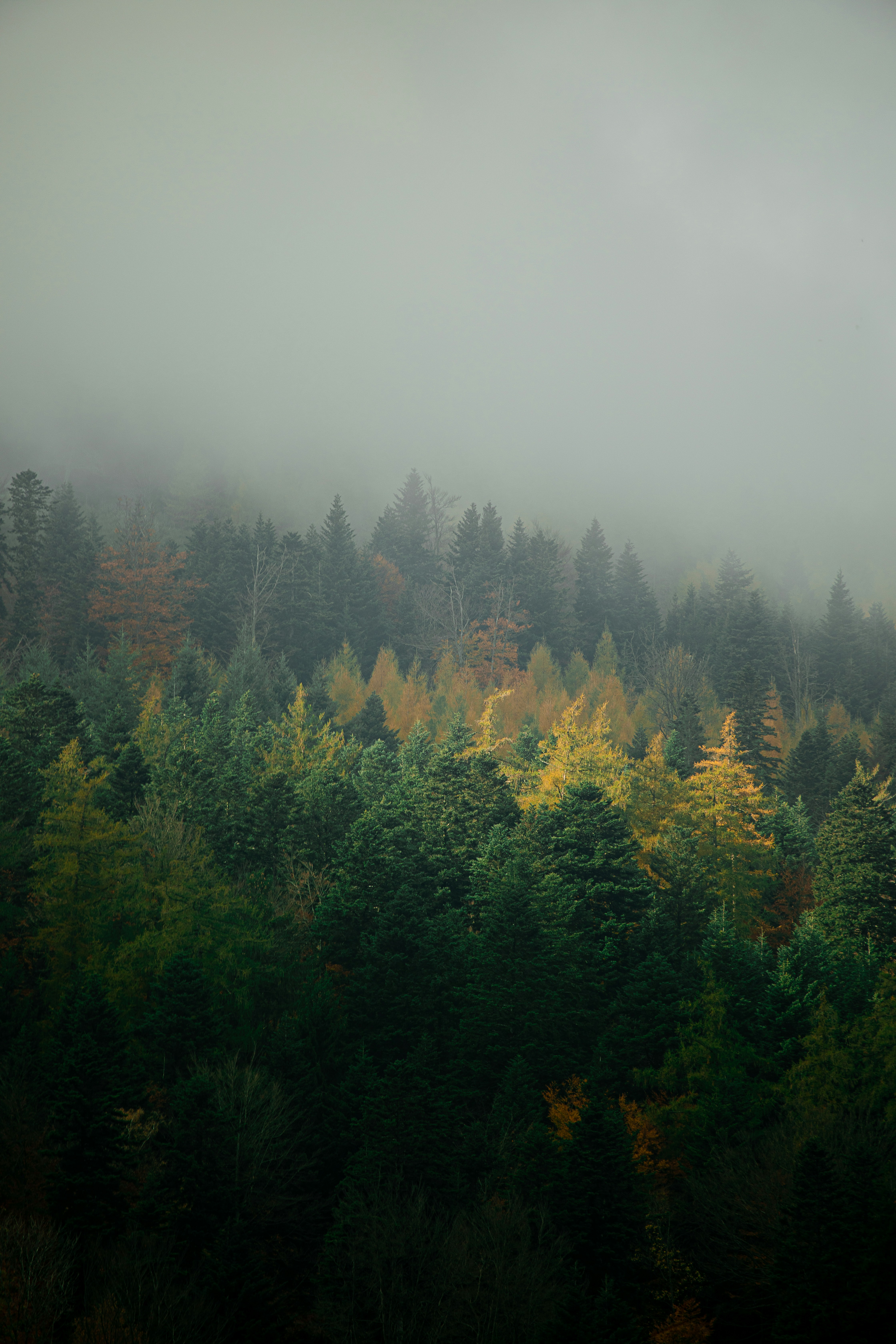 Photo by louisgaudiau