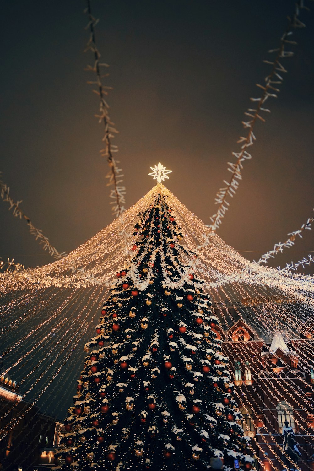 a christmas tree is lit up at night