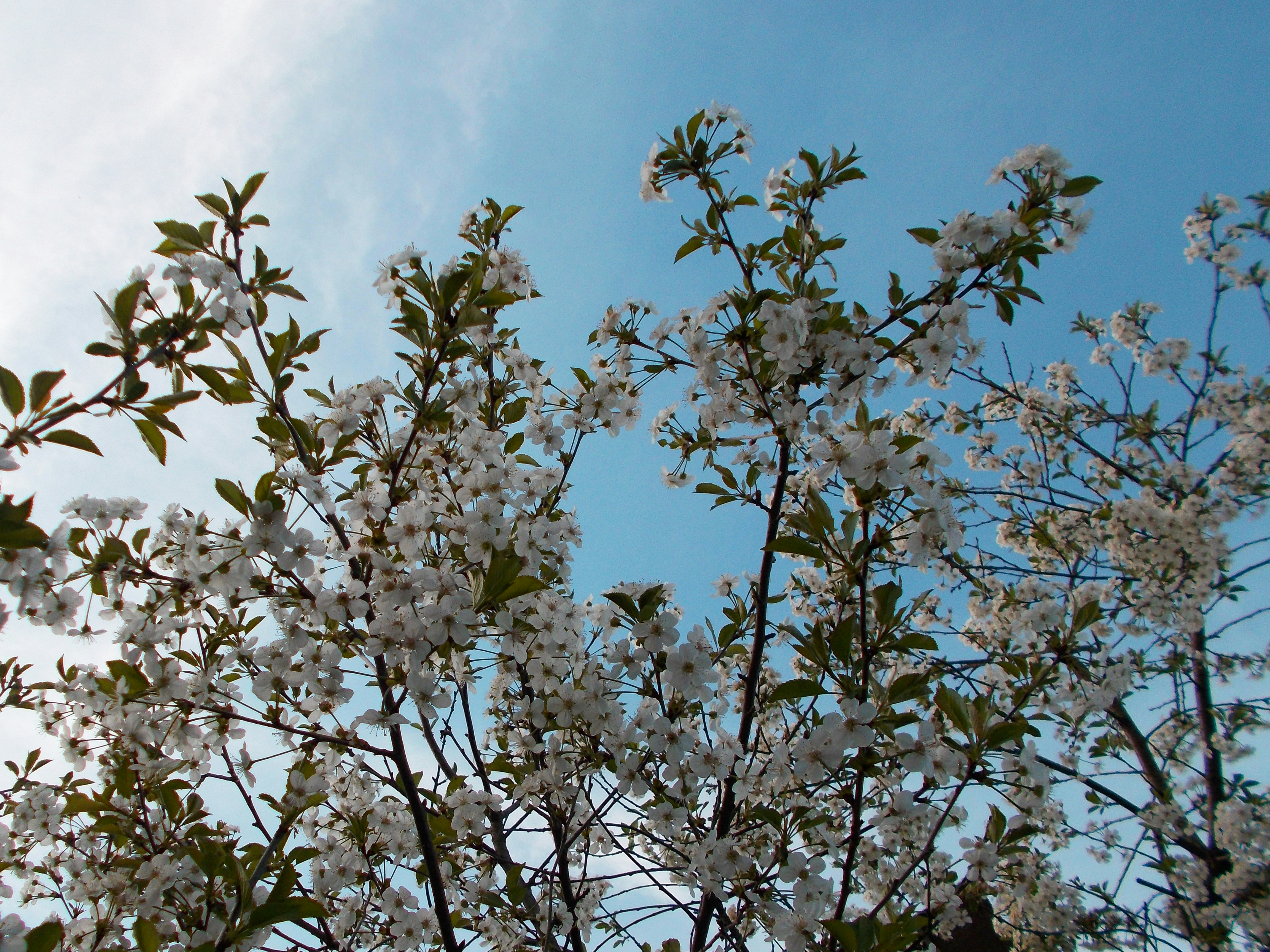 Photo by helen_zahrai