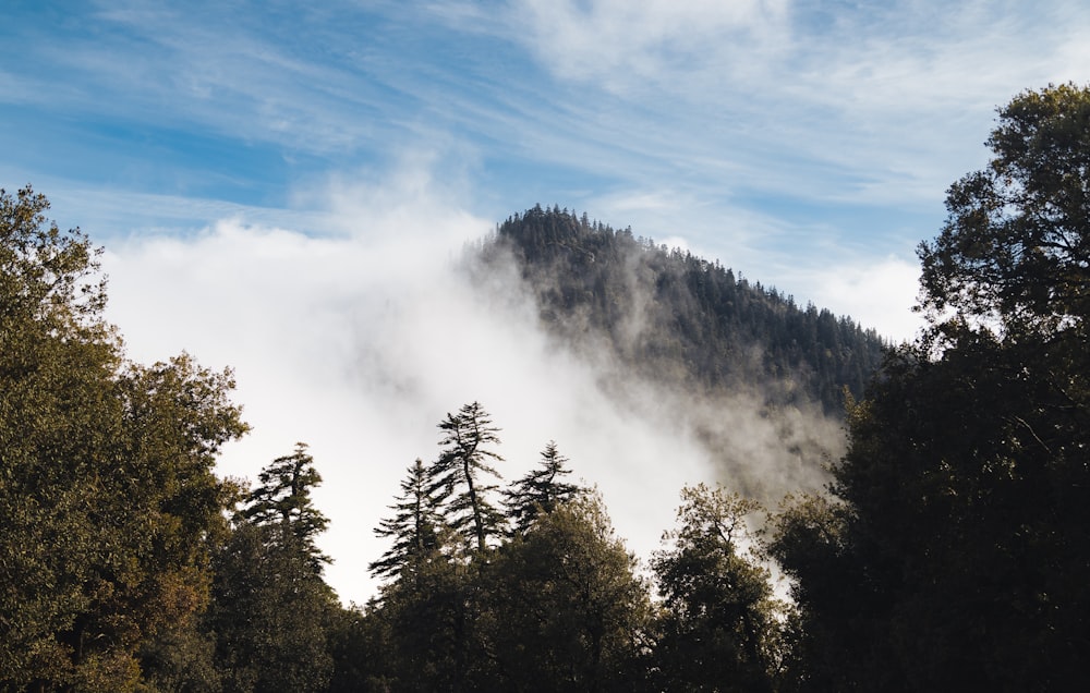 a mountain covered in clouds and trees under a blue sky