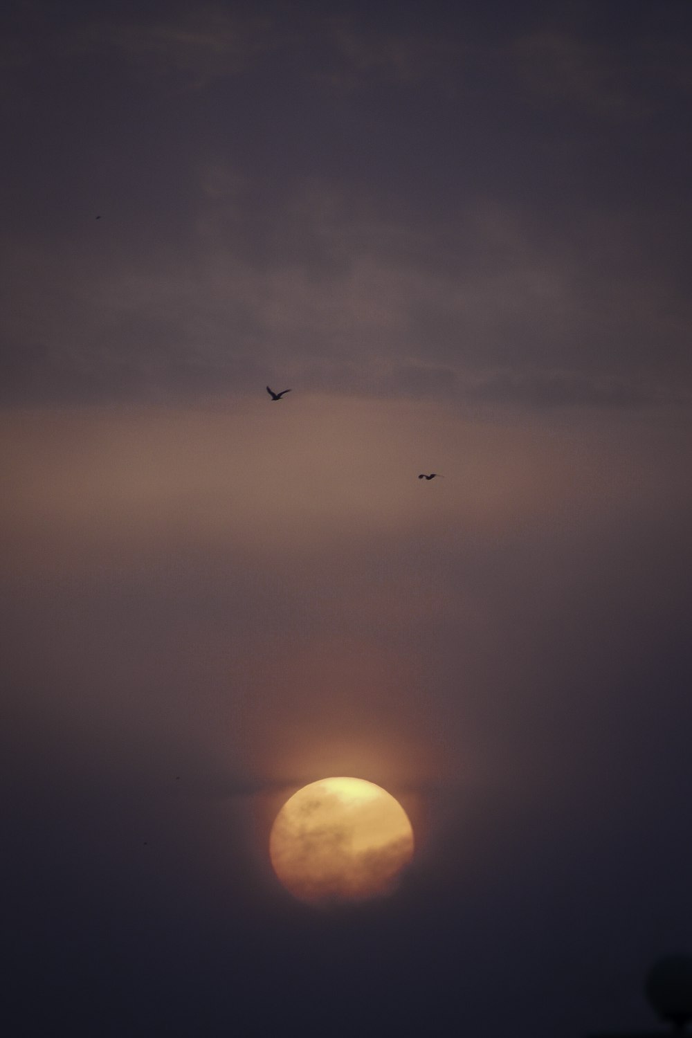 El sol se está poniendo sobre las nubes y los pájaros vuelan en el cielo