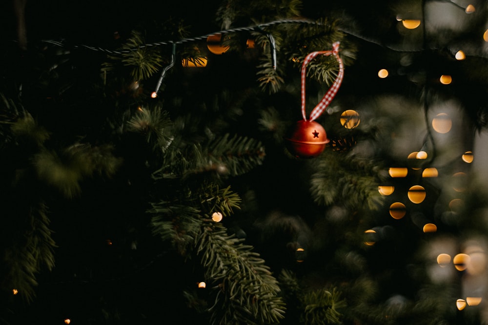 a red ornament hanging from a christmas tree