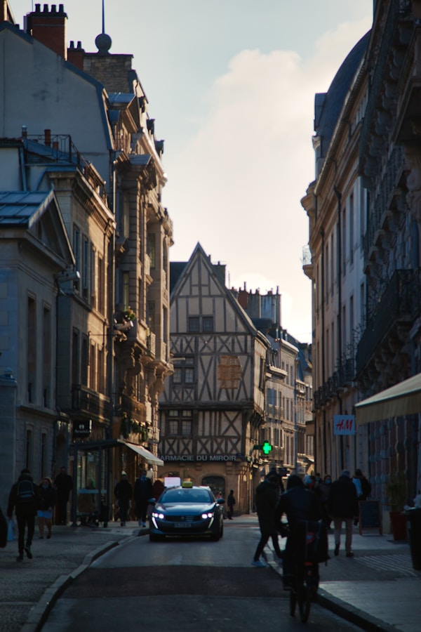 Dijon Culture & Traditions: History, Customs, Festivals