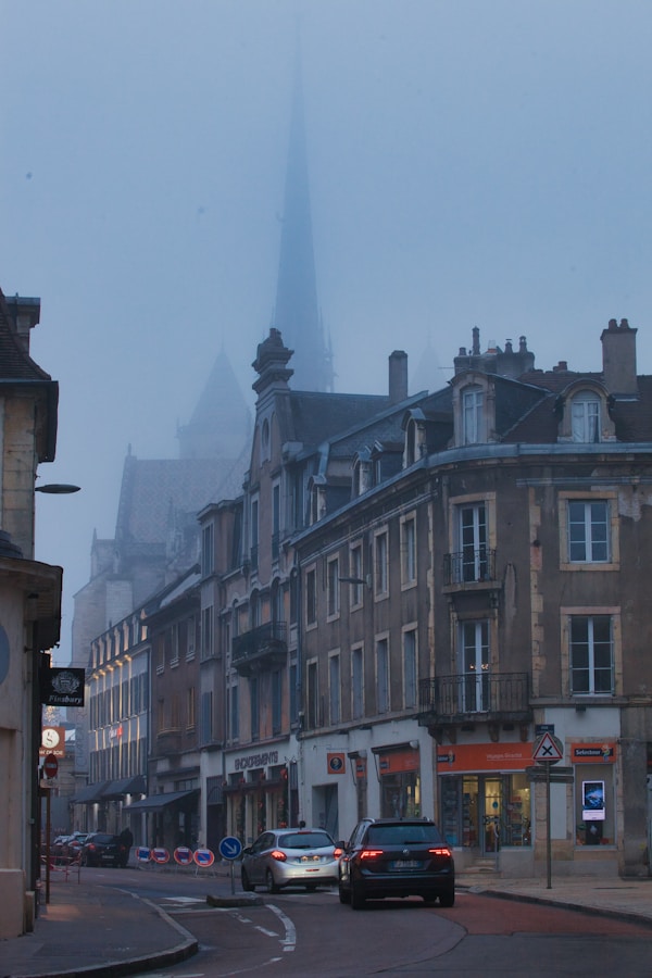 Dijon Travel Guide: Exploring the Heart of Burgundy