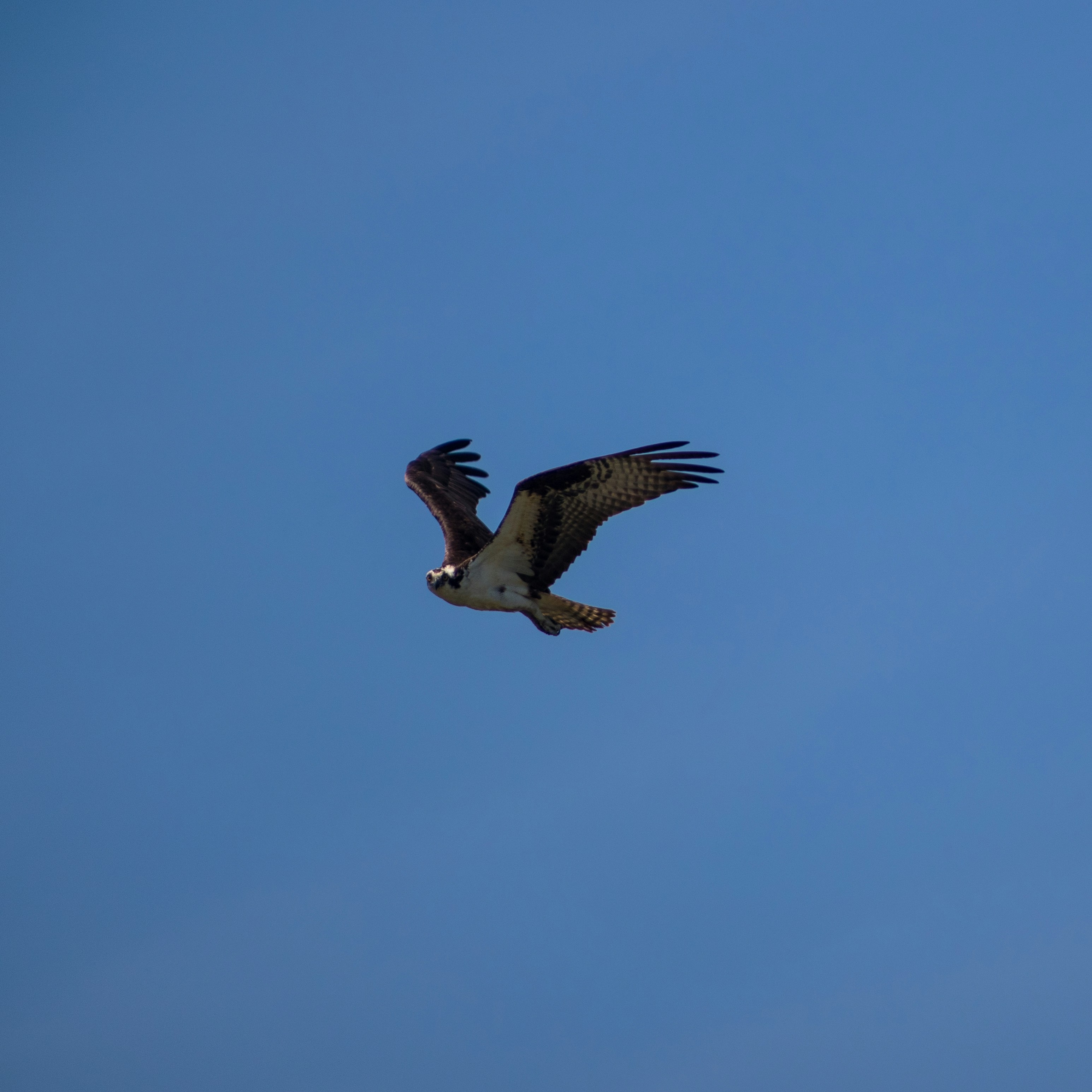 Photo by jeremymchen