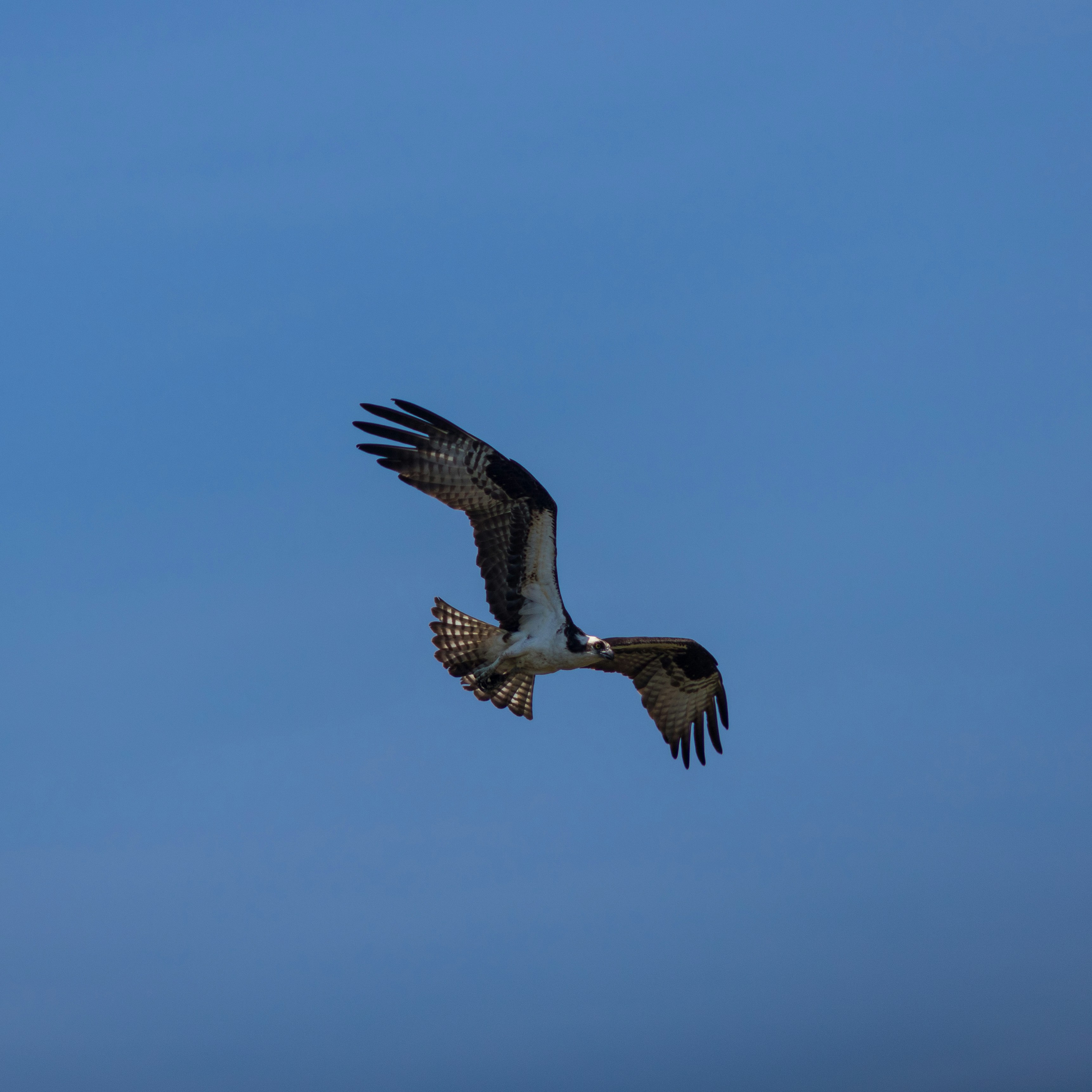 Photo by jeremymchen