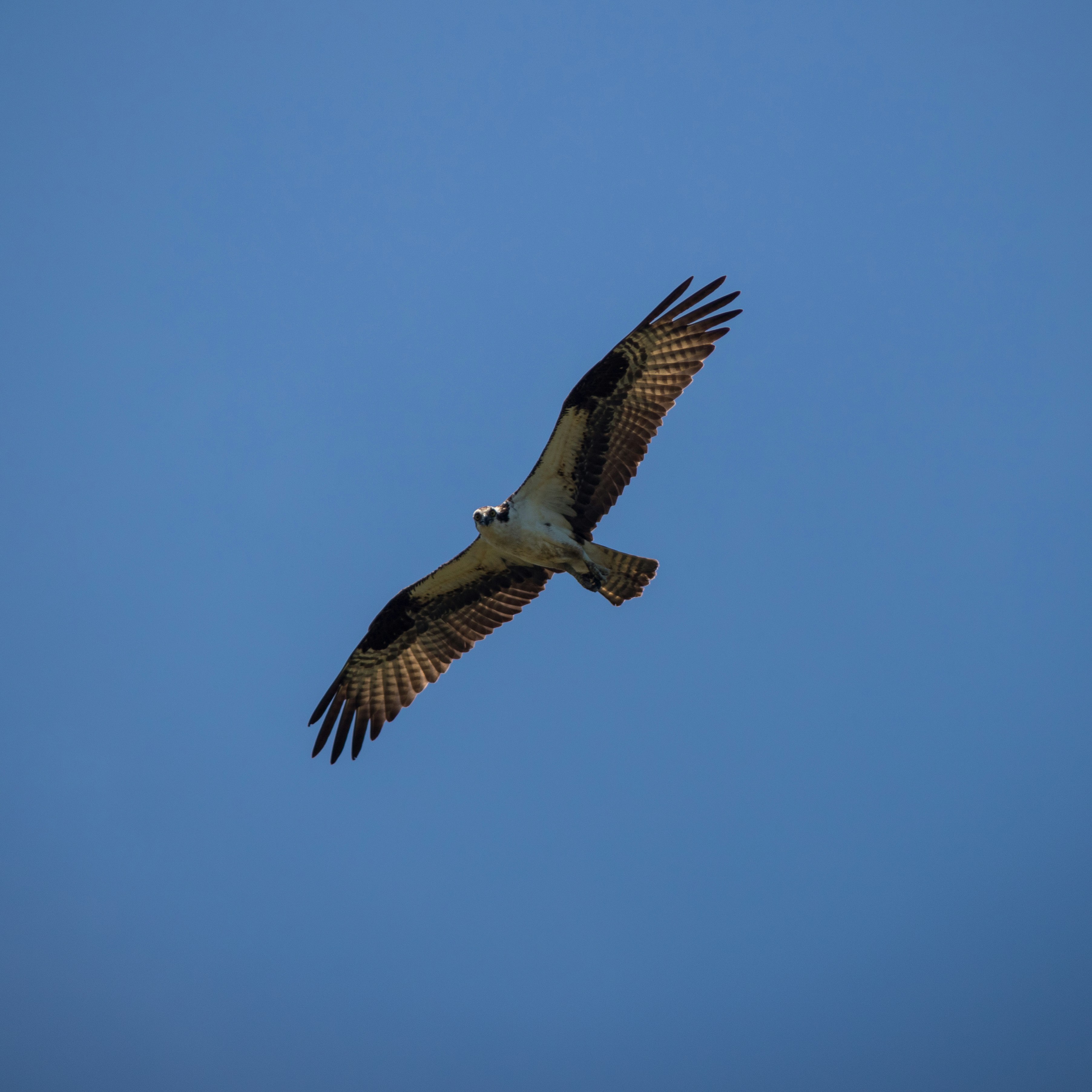 Photo by jeremymchen