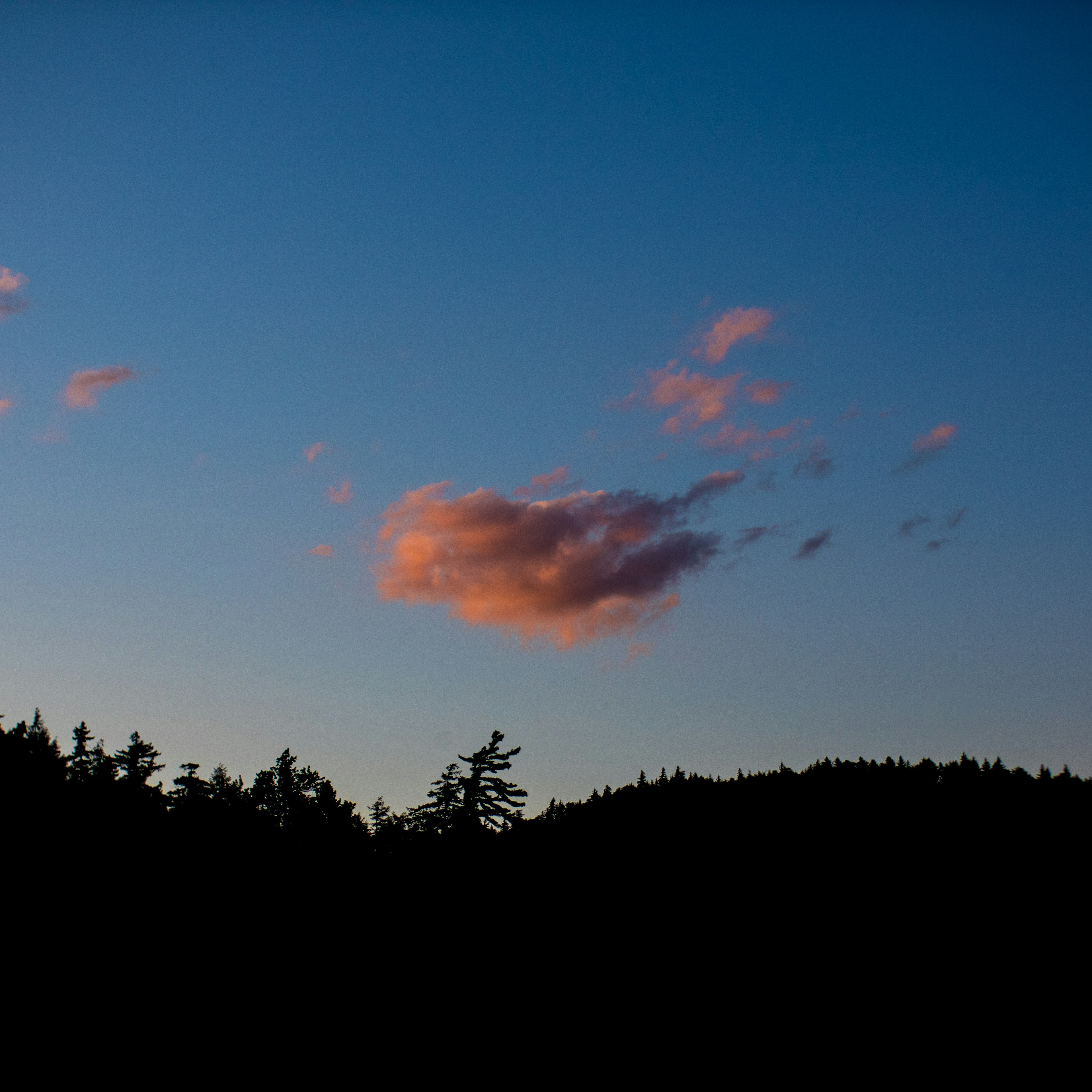 Photo by jeremymchen