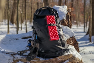 a backpack sitting on top of a log in the snow