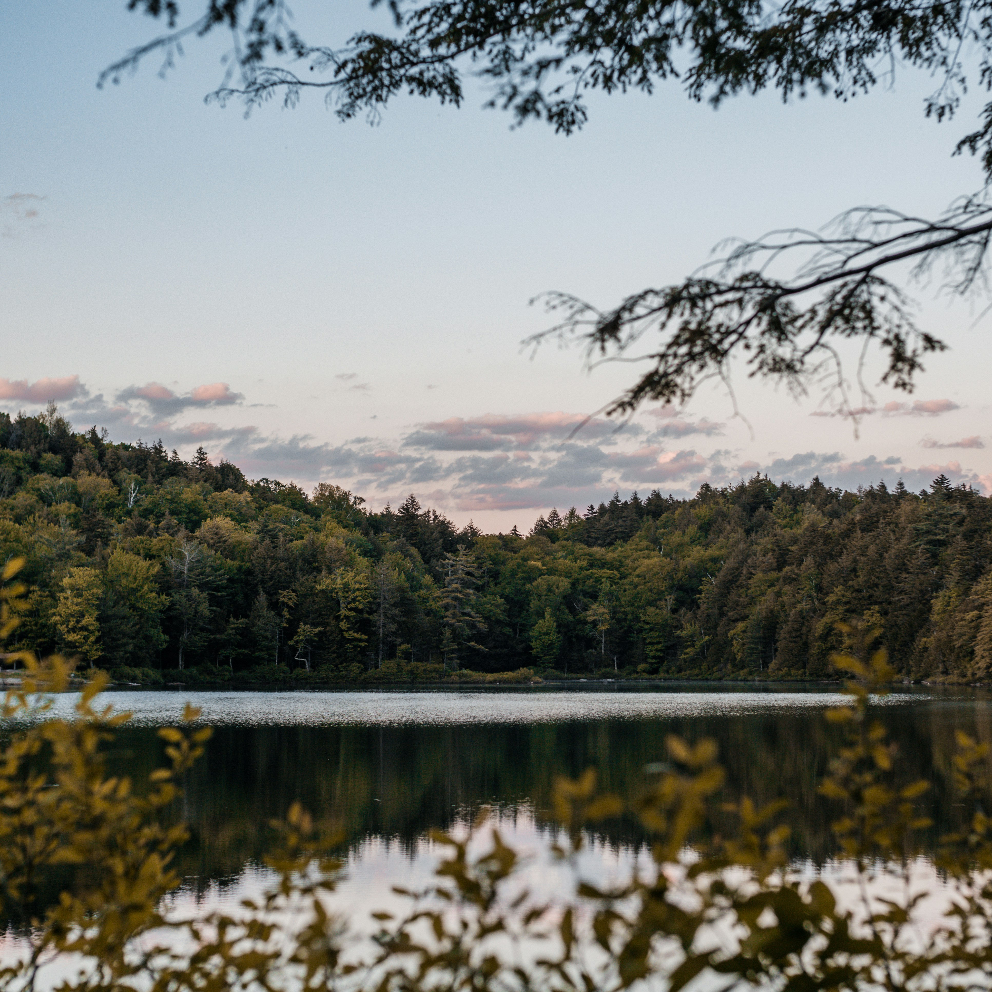 Photo by jeremymchen