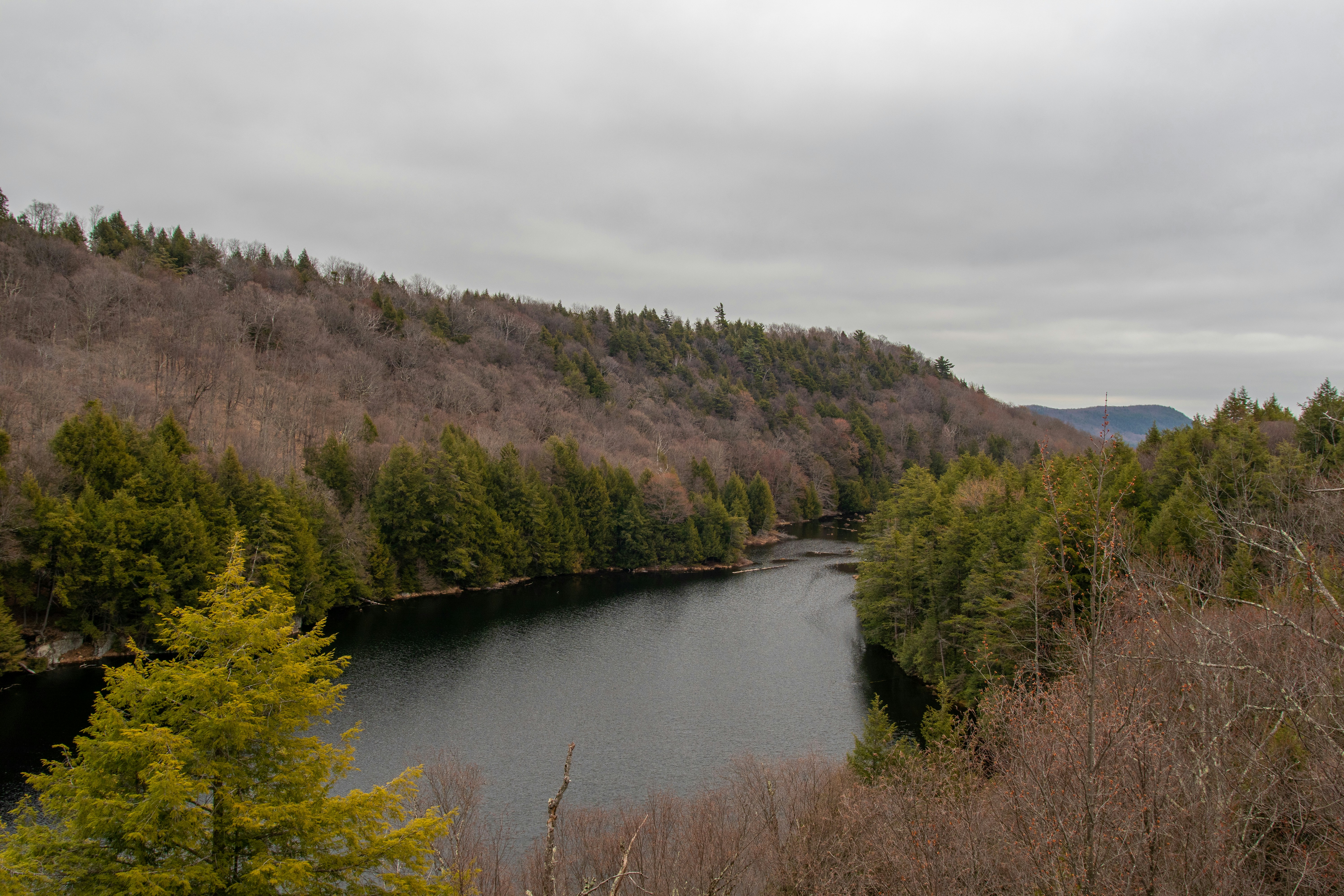 Photo by jeremymchen