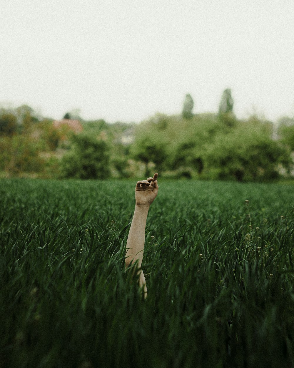 a hand reaching up into the air in a field
