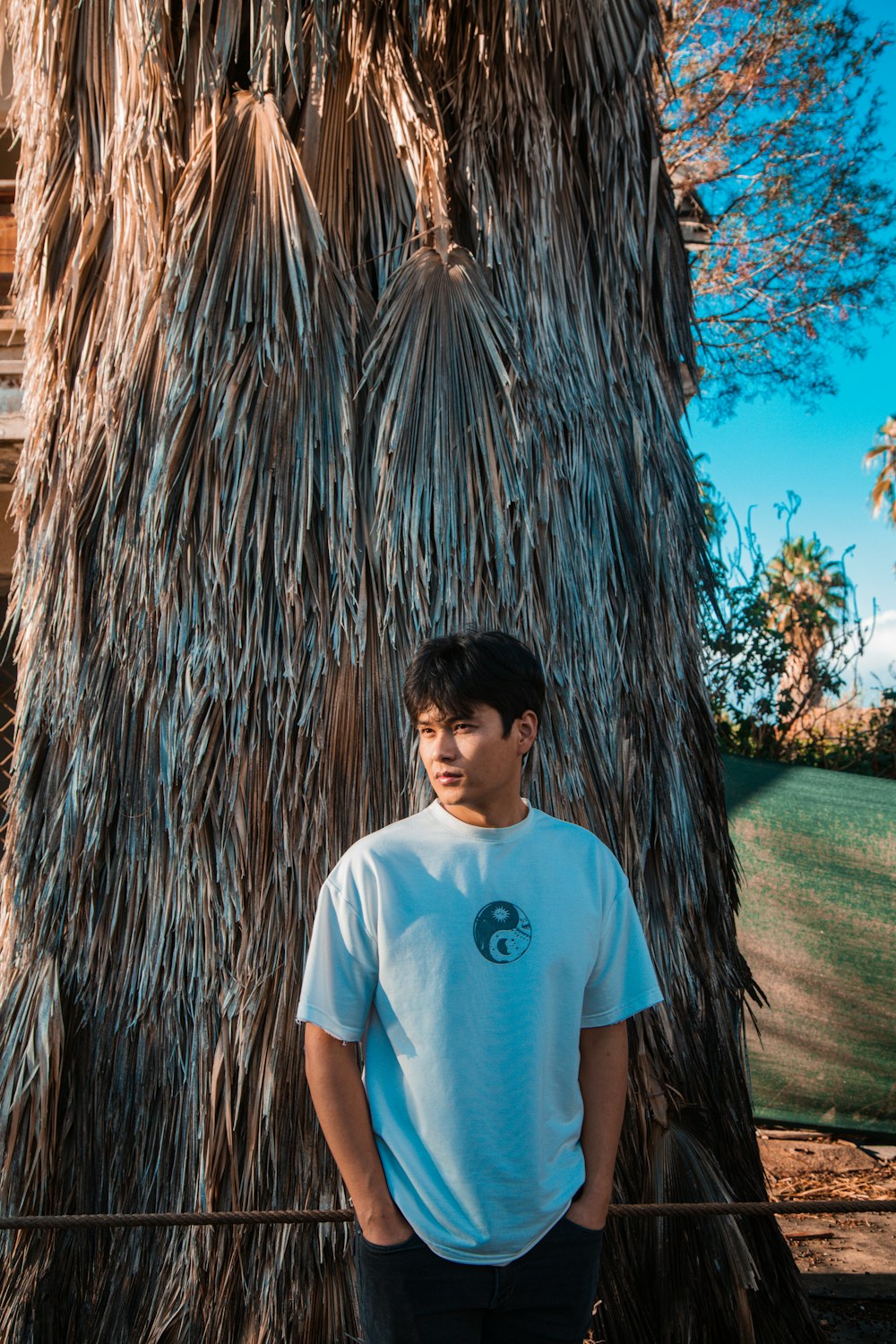 a young man standing in front of a palm tree