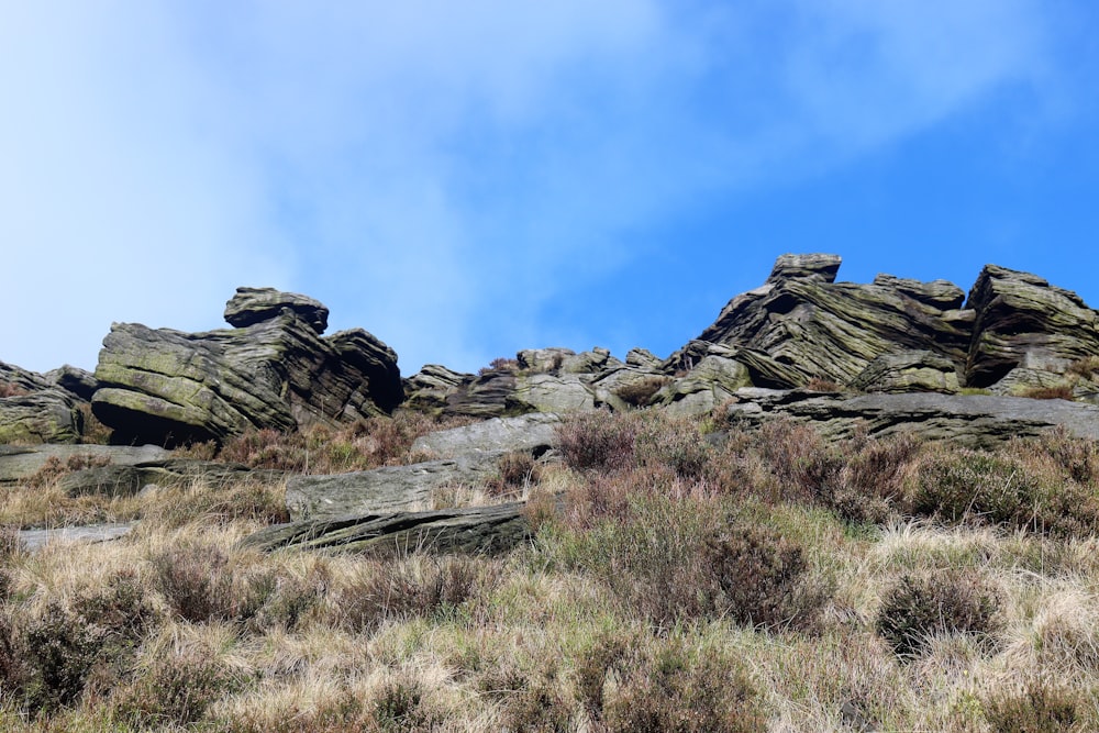 a grassy field with rocks and dry grass