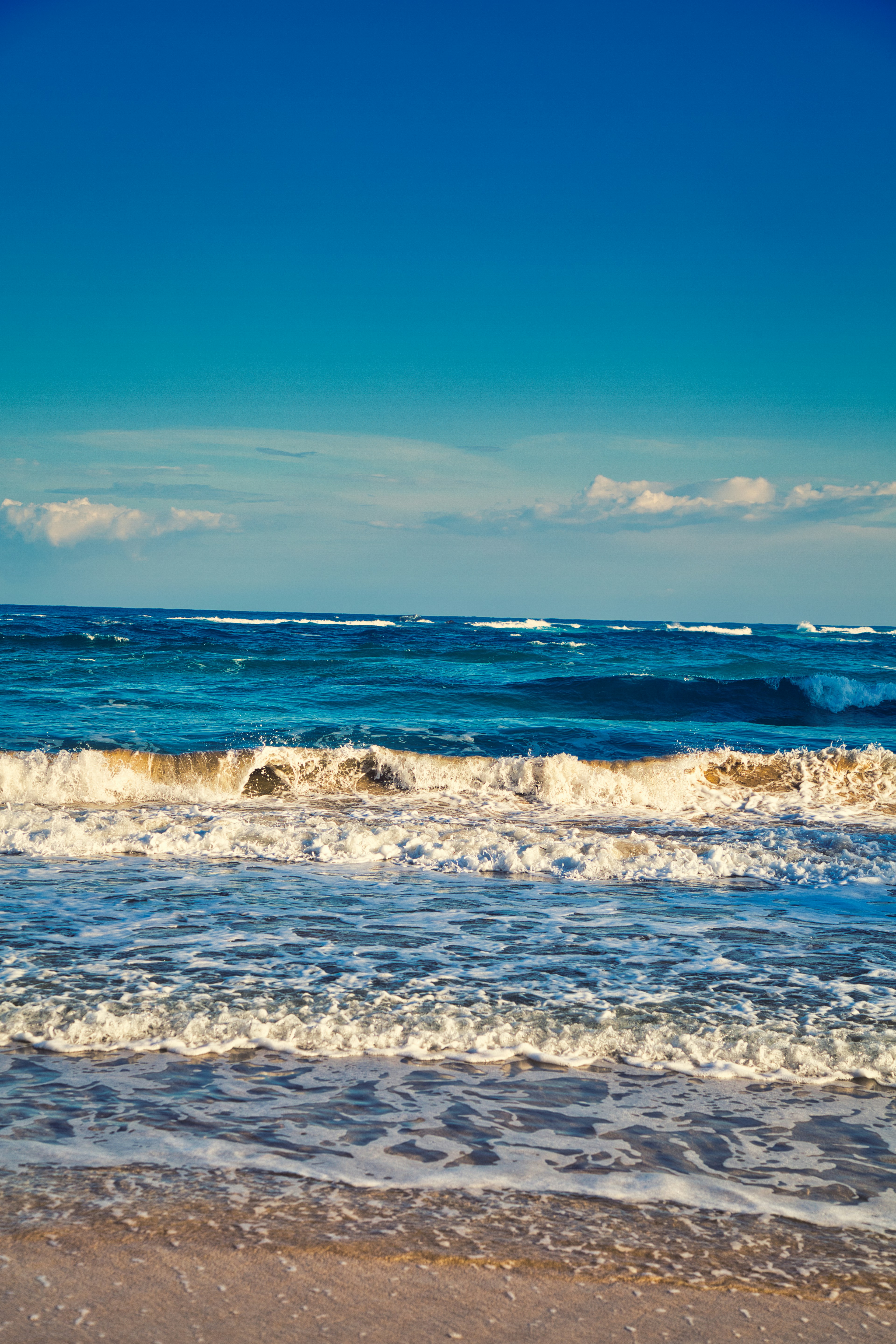 Photo by ozzzyphotos