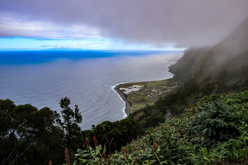 a view of the ocean from the top of a hill