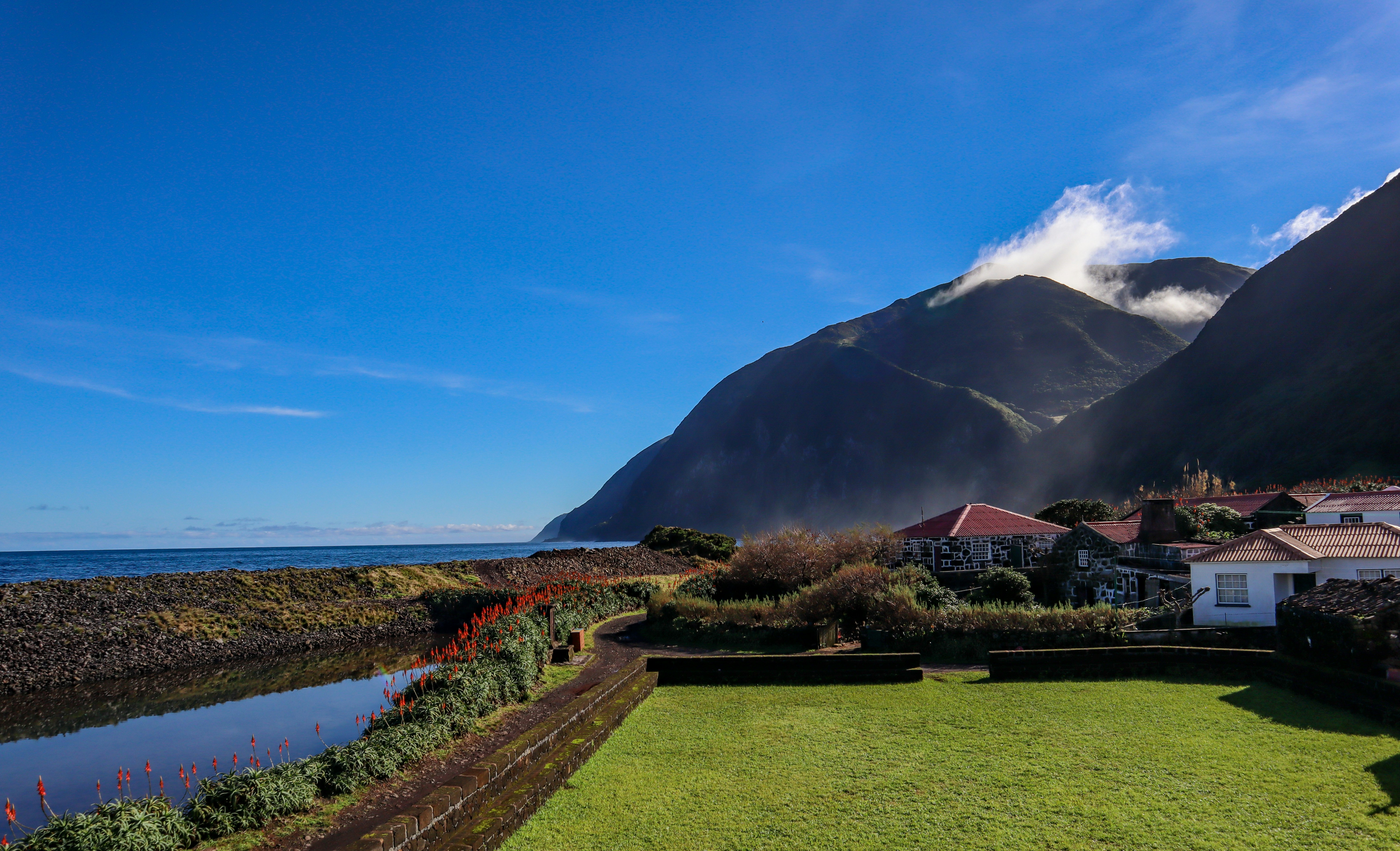 a lush green field next to the ocean