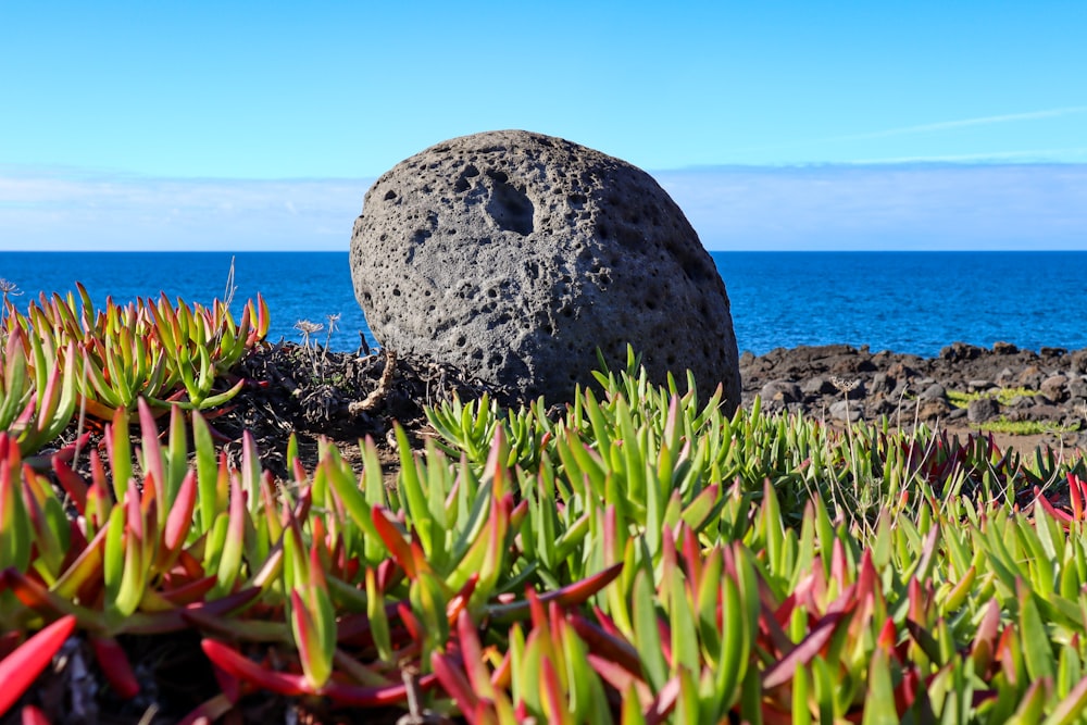 a large rock sitting on top of a lush green field