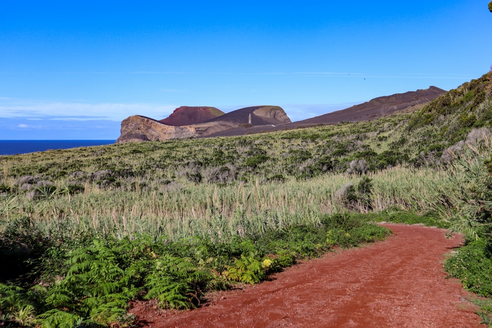 a dirt road going through a lush green field