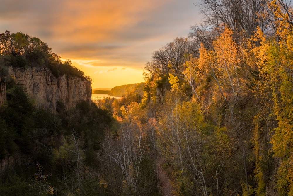 the sun is setting over the trees in the forest