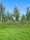 A lush green landscape with tall trees under a bright, clear blue sky. The foreground features a well-maintained lawn with dense shrubs and a line of trees extending into the background, creating a serene natural environment.