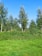 A well-maintained commercial lawn with trimmed shrubs and vibrant green grass under clear skies.