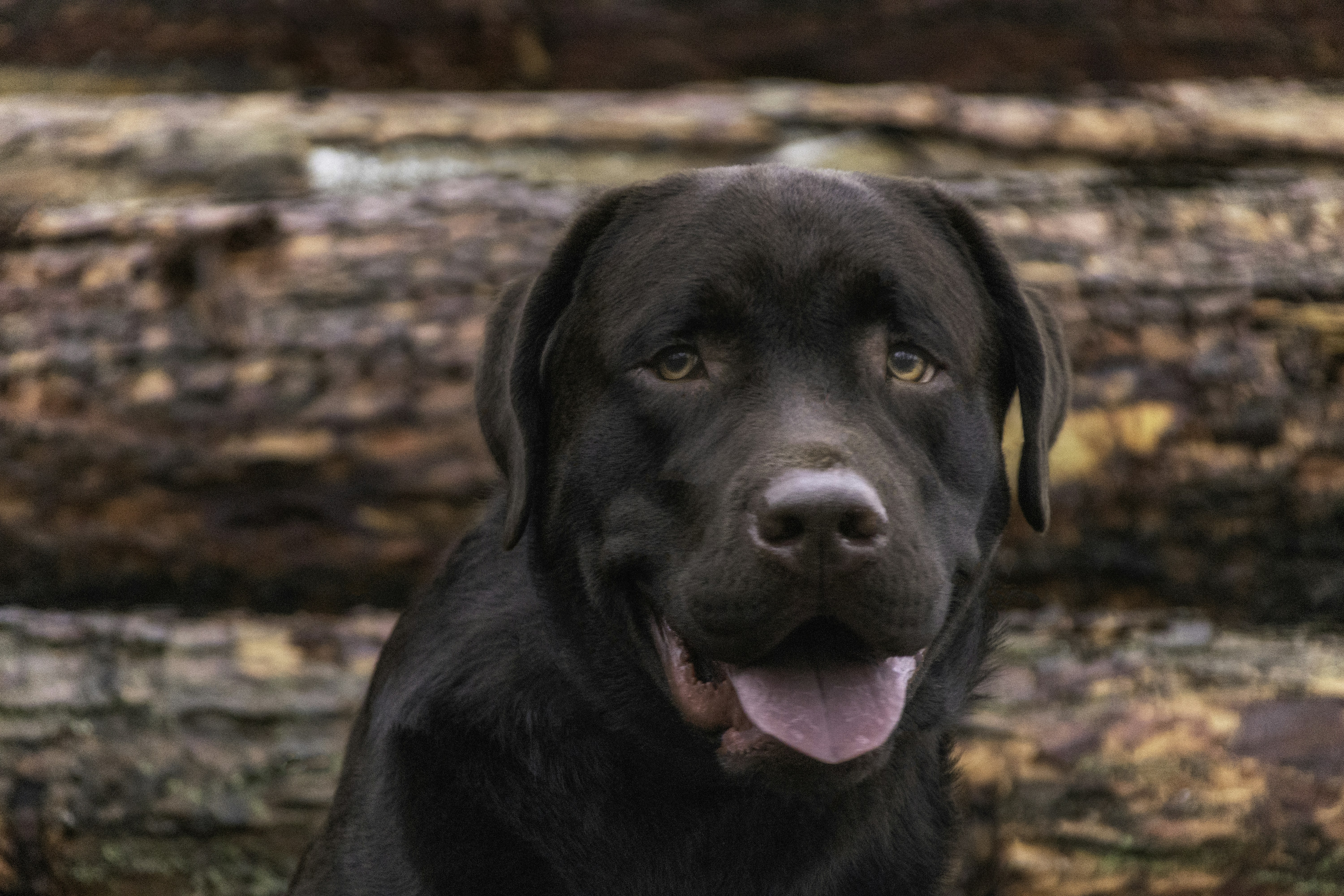 Photo by heino_120206