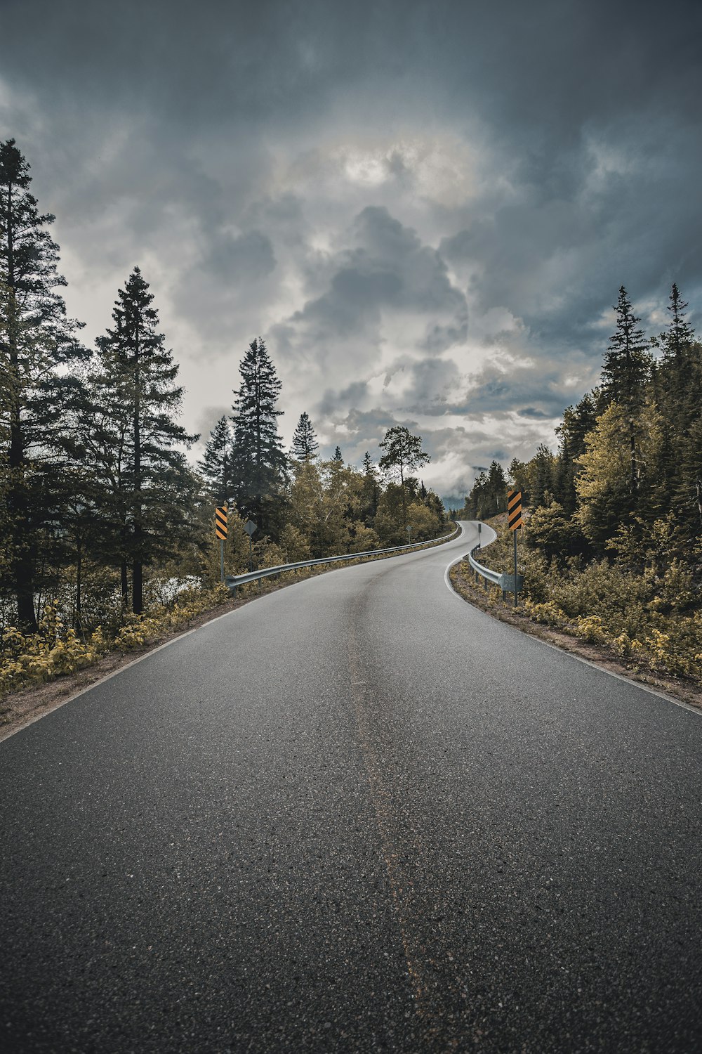 an empty road surrounded by trees under a cloudy sky