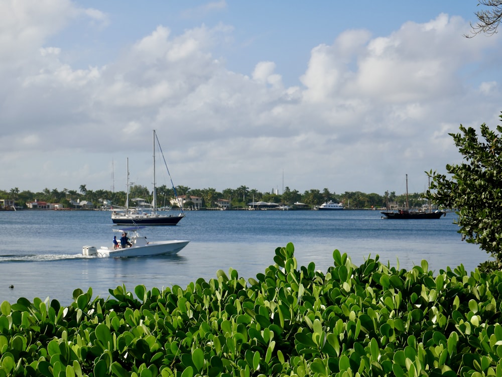 a couple of boats that are in the water