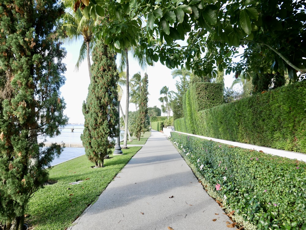 a sidewalk that is next to some bushes