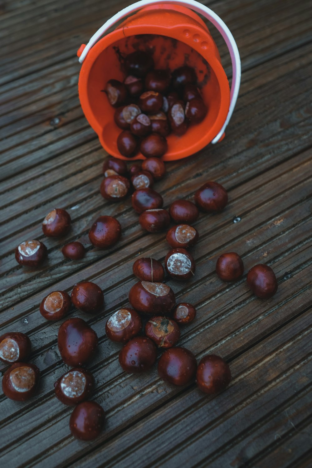 a bucket full of chestnuts on a wooden table