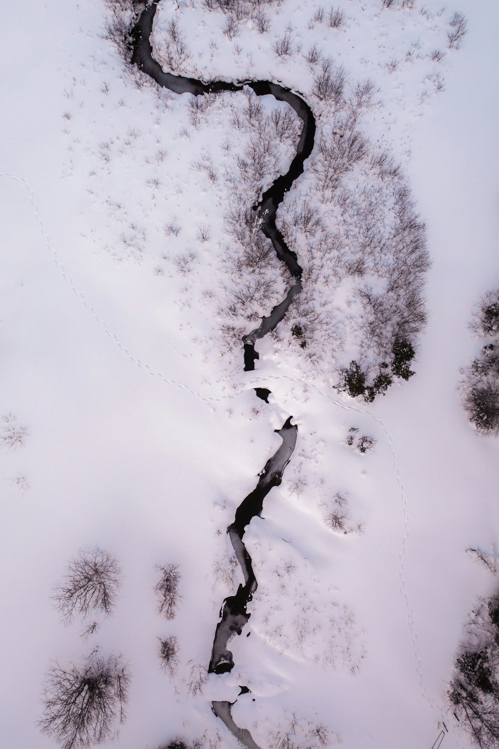 a river running through a snow covered forest