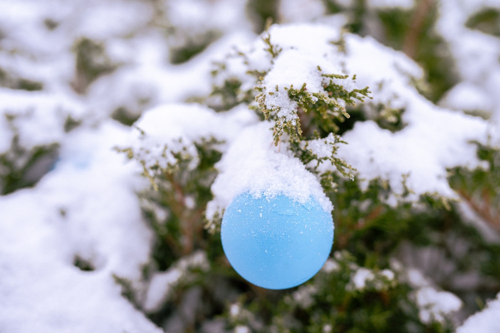 a blue ornament hanging from a tree covered in snow