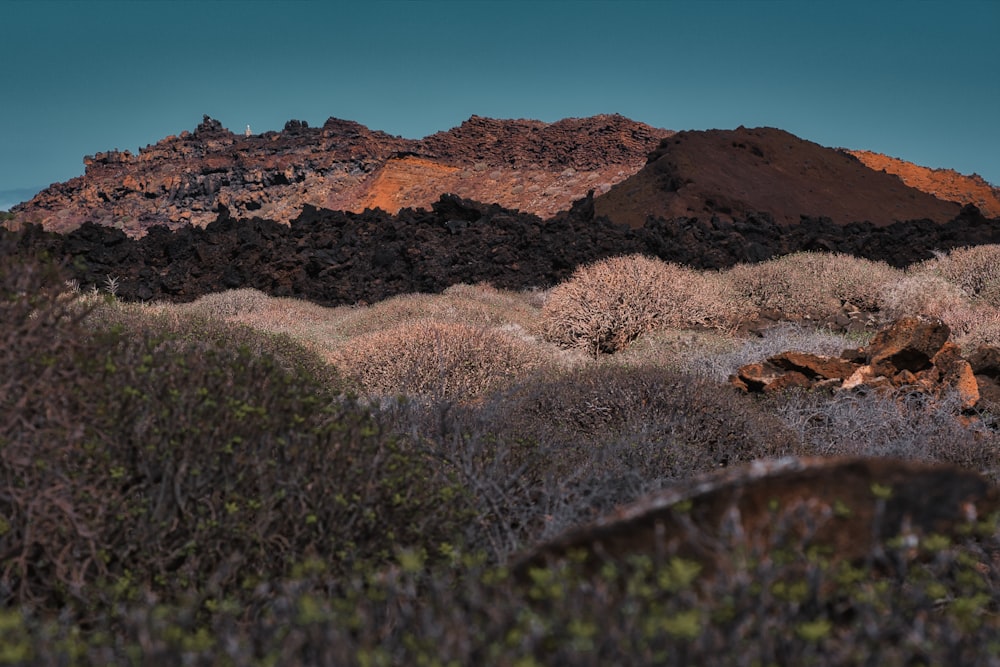 Una vista de una cordillera en el desierto