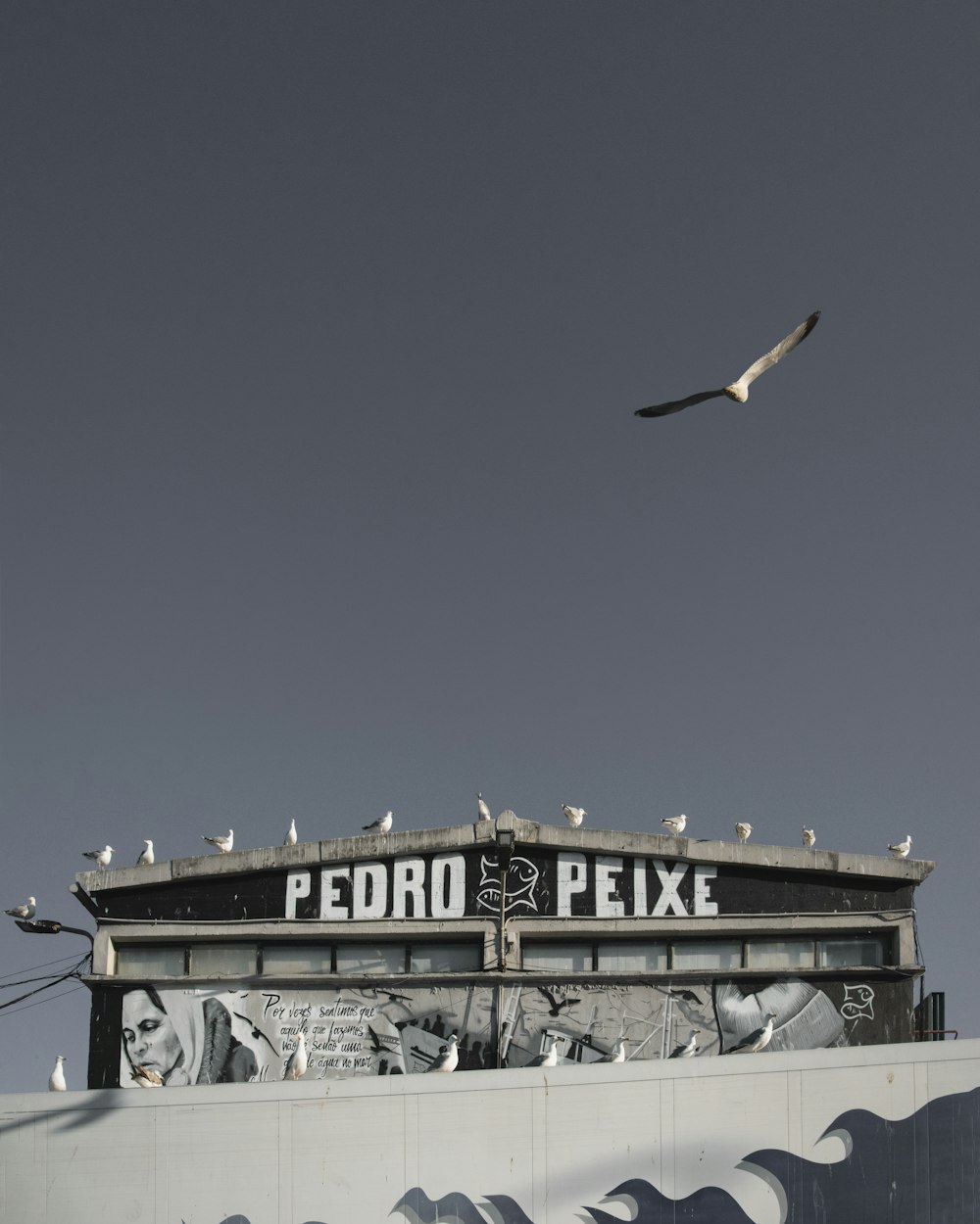 a flock of birds sitting on top of a building