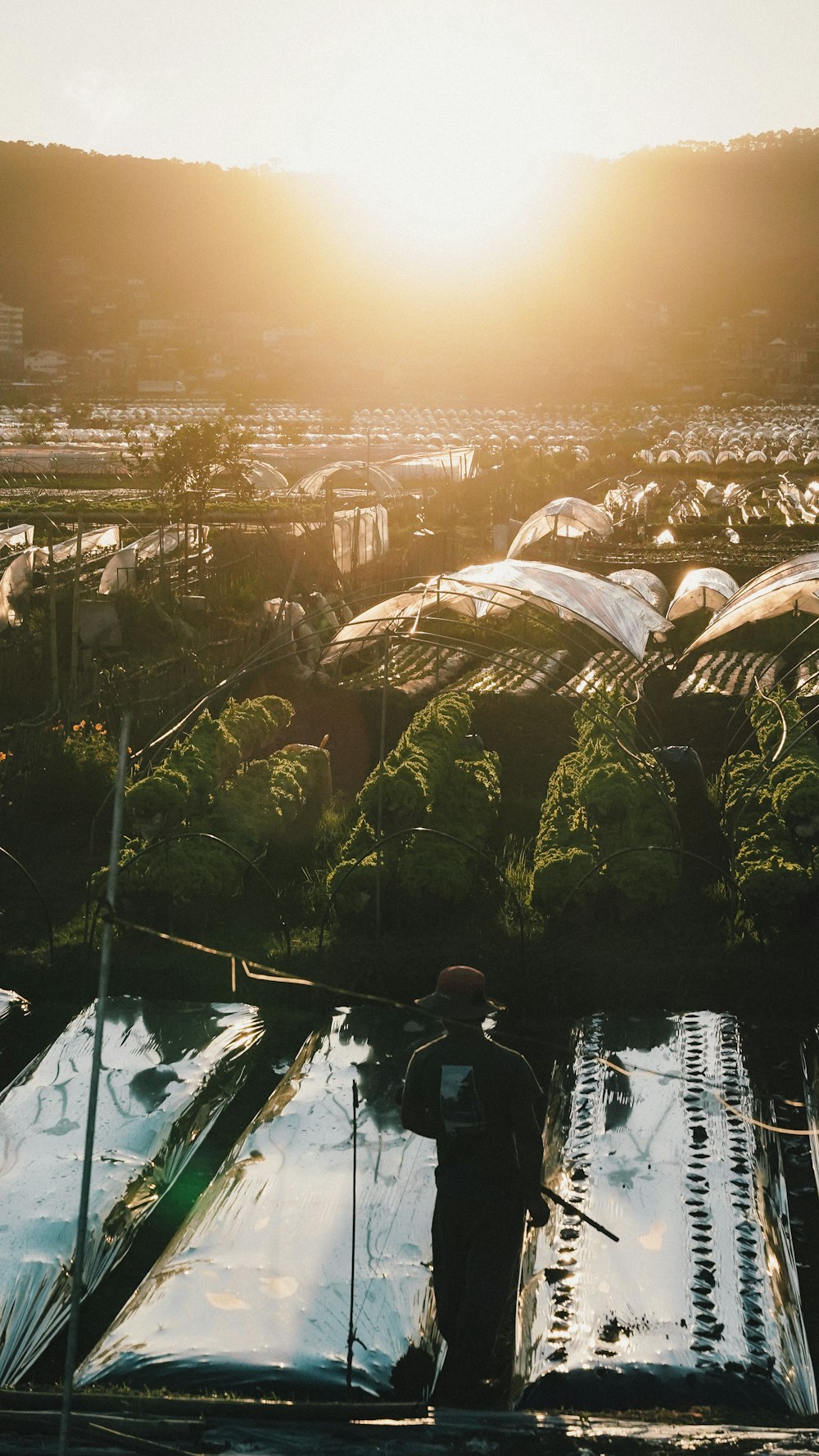 a man standing on top of a green roof