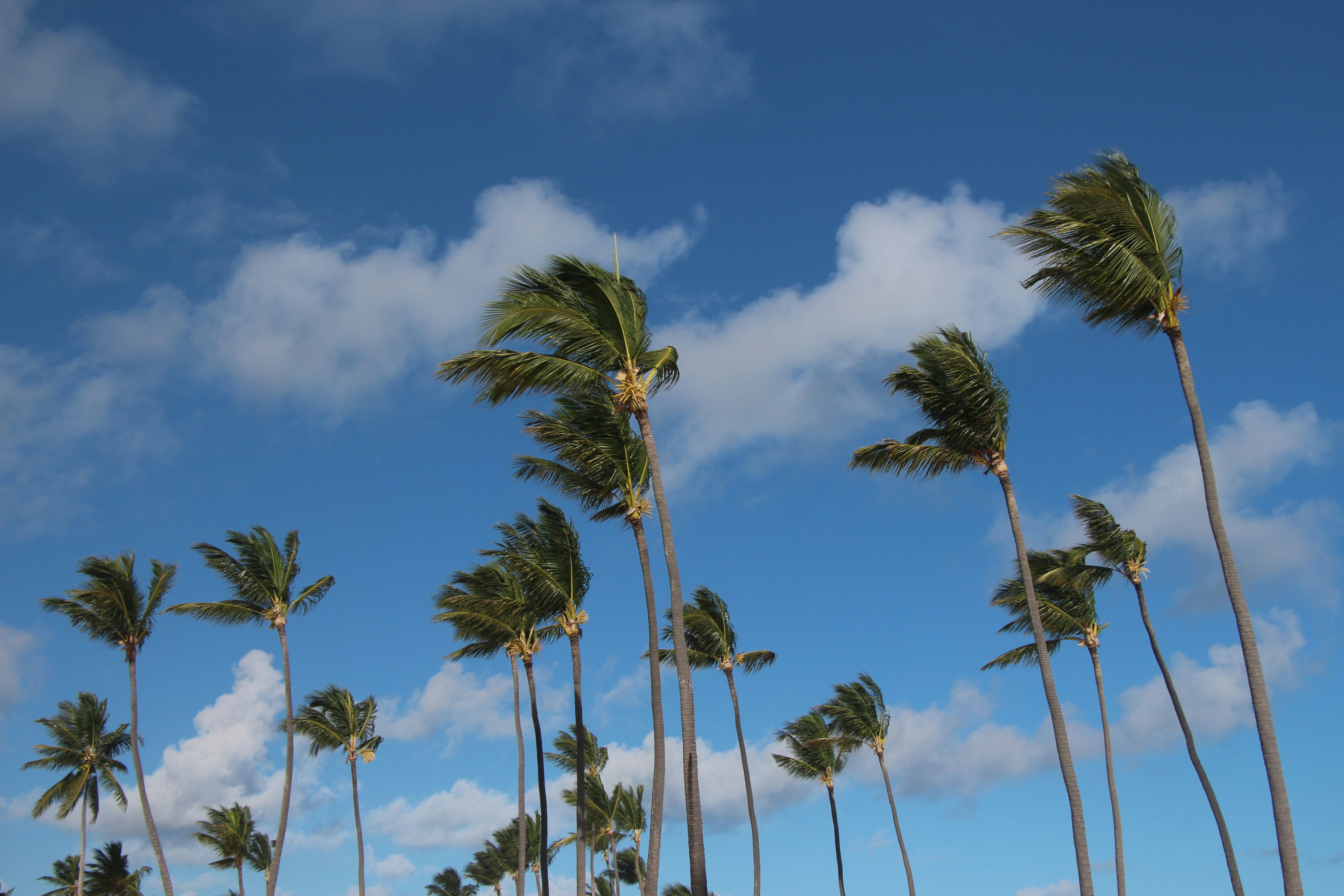 Par Pacific Announces Closing of Hawaii Renewables Joint Venture