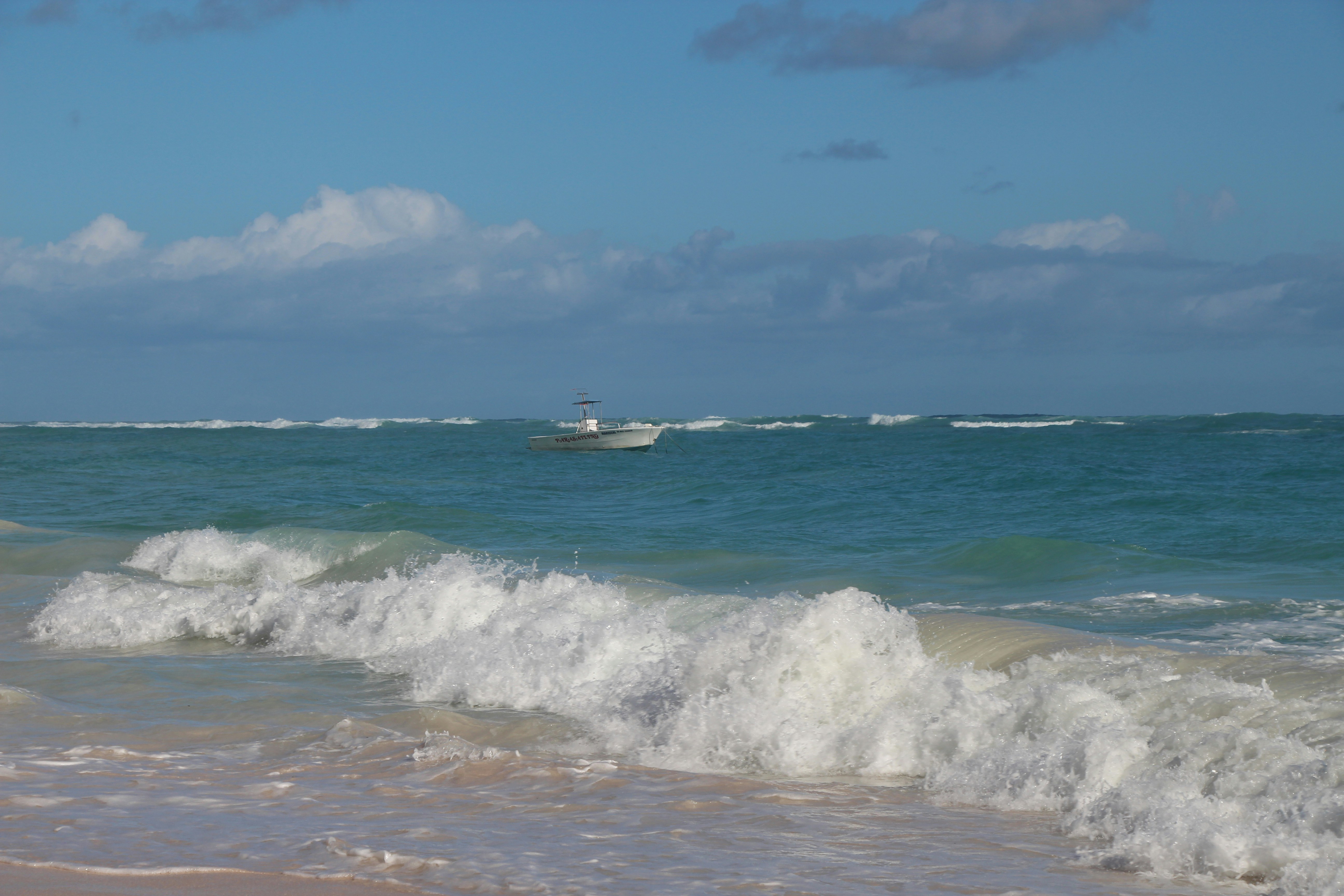 Photo by natasha_peixoto