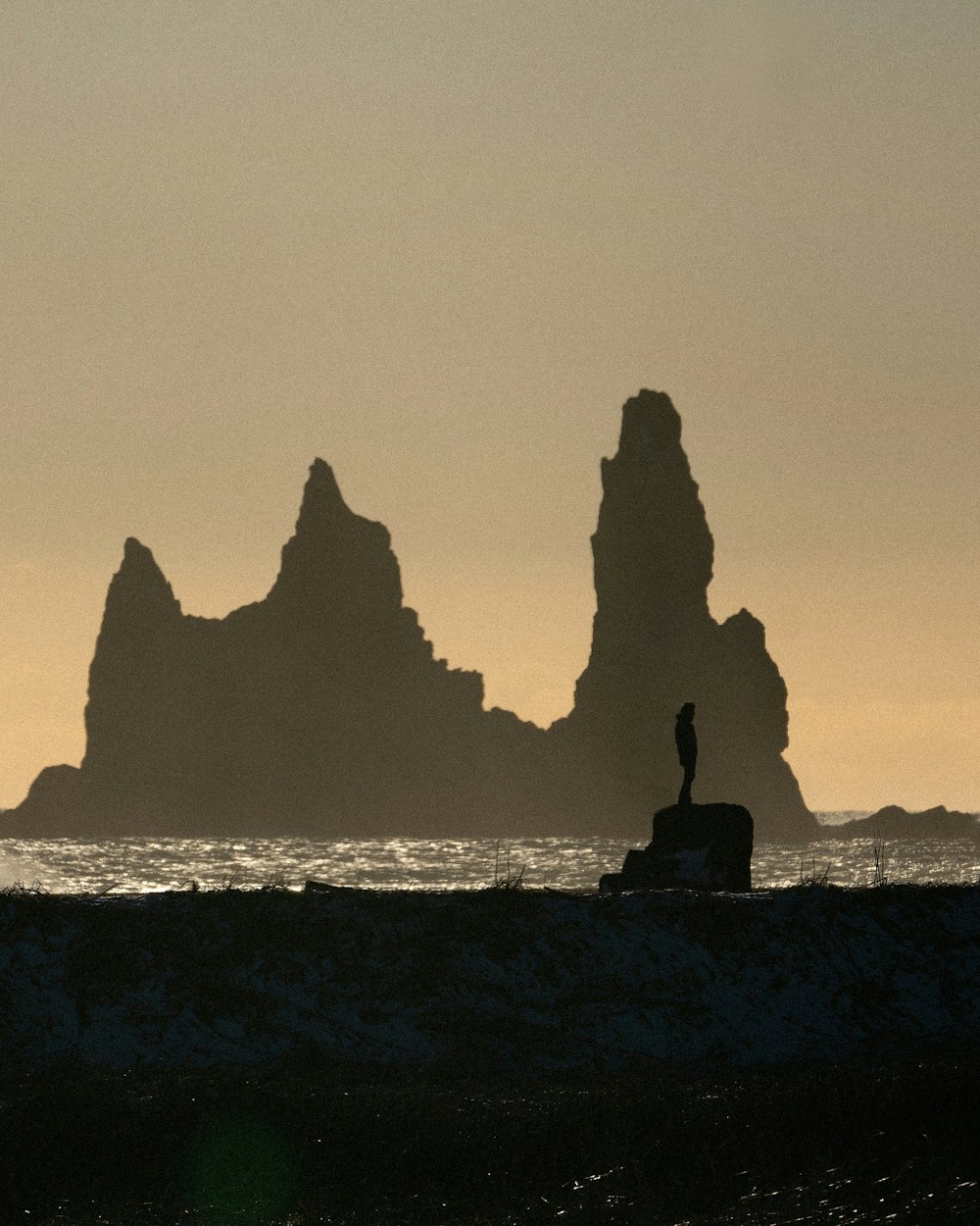 海の近くの岩の上に座っている人