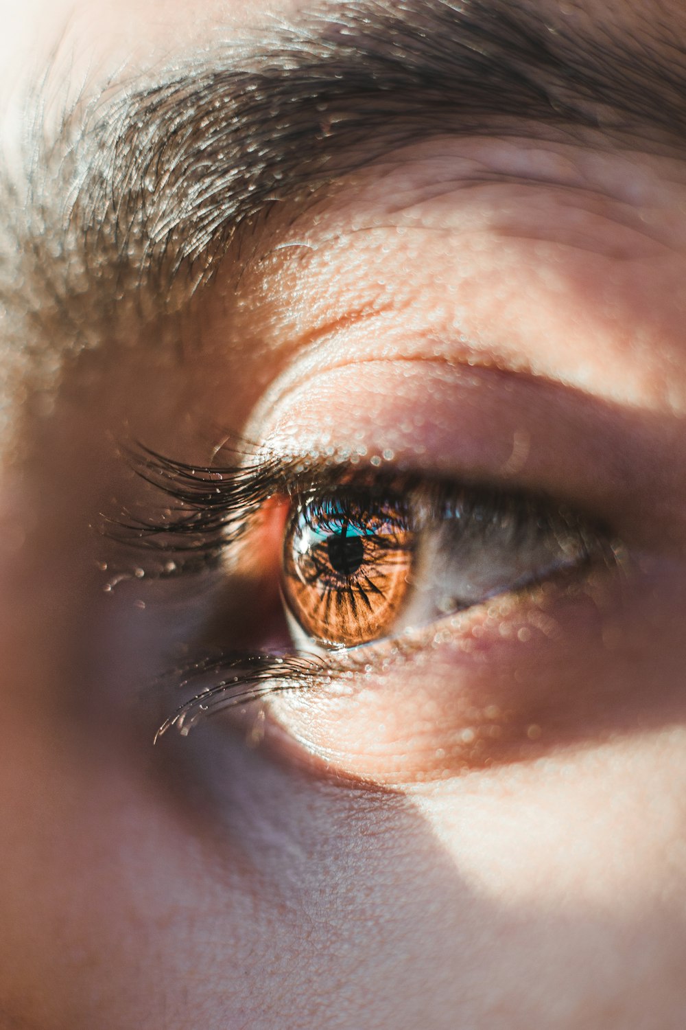 a close up of a person's eye with an orange iris