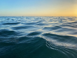 A calm ocean horizon at golden hour, evoking the peaceful feeling of a beach day.