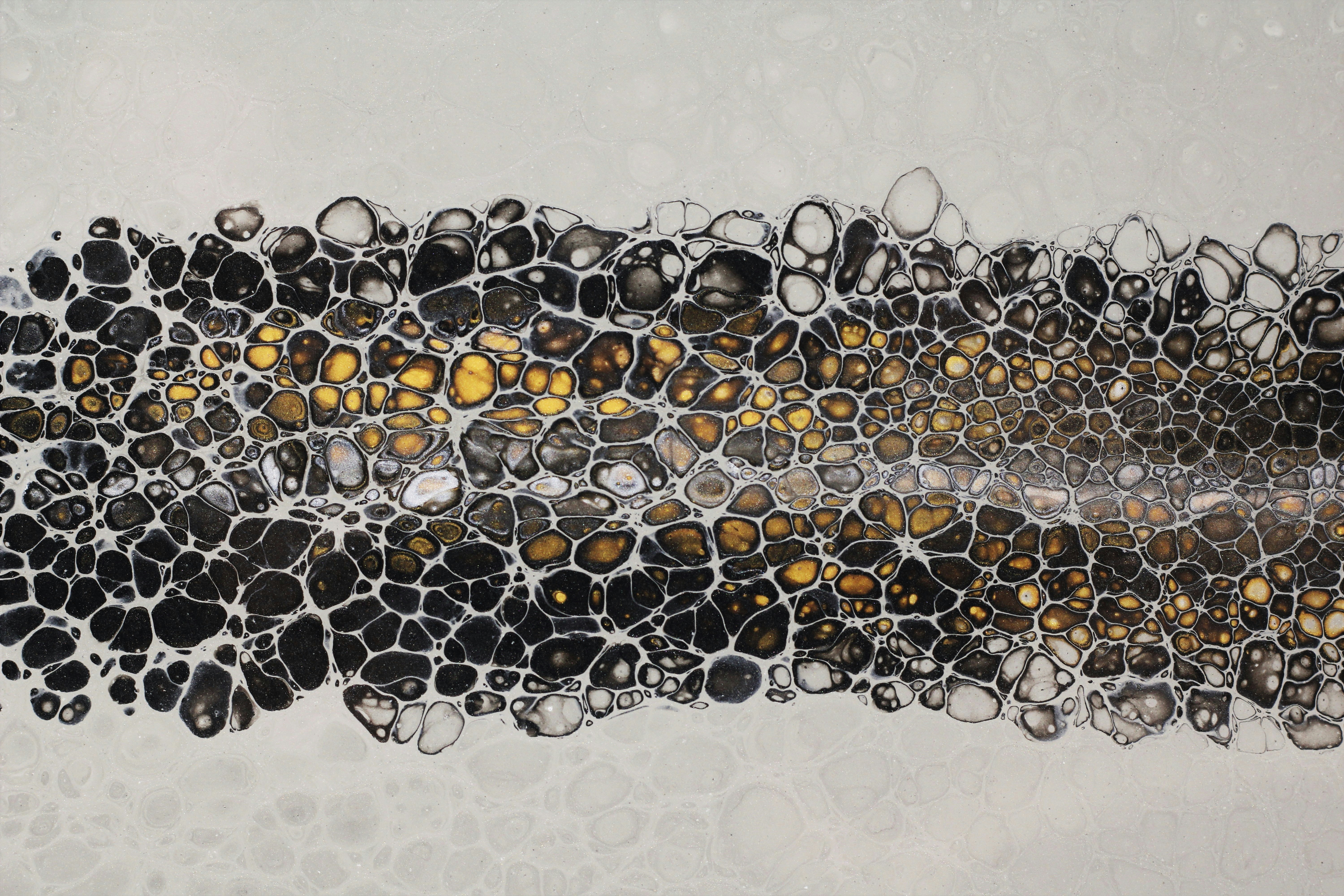 Photo by susan_wilkinson