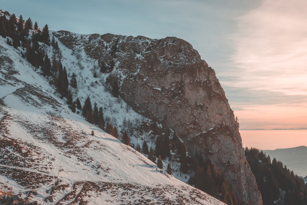 una montaña cubierta de nieve con árboles en la cima