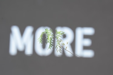 a blurry picture of the word more on a wall