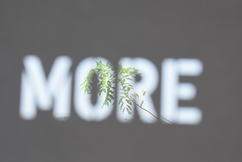 a blurry picture of the word more on a wall